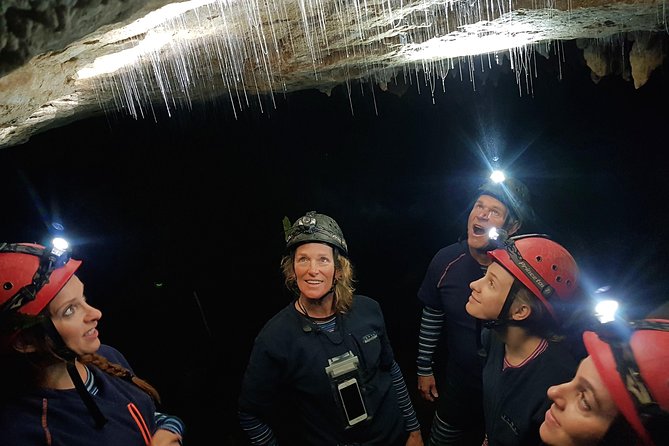 Private Waitomo Glowworm Cave Tours - Timing: what 3 hours feels like in a cave day