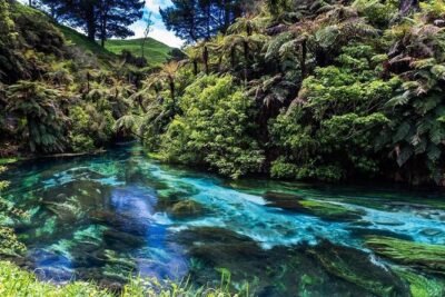 Redwood Forest , Blue Springs & Huka Falls Day Tour from Auckland - What the 11–13 hour schedule feels like (and how to survive it)