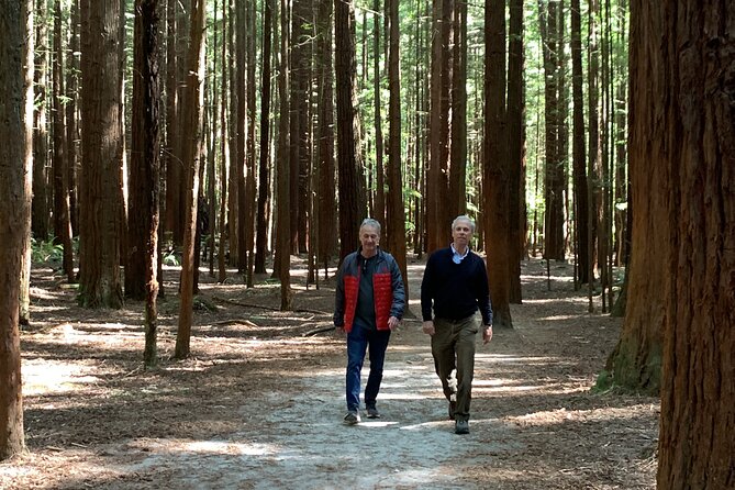 Redwood Forest , Blue Springs & Huka Falls Day Tour from Auckland - Stop 5: Redwood Forest in Whakarewarewa (and the admission detail)