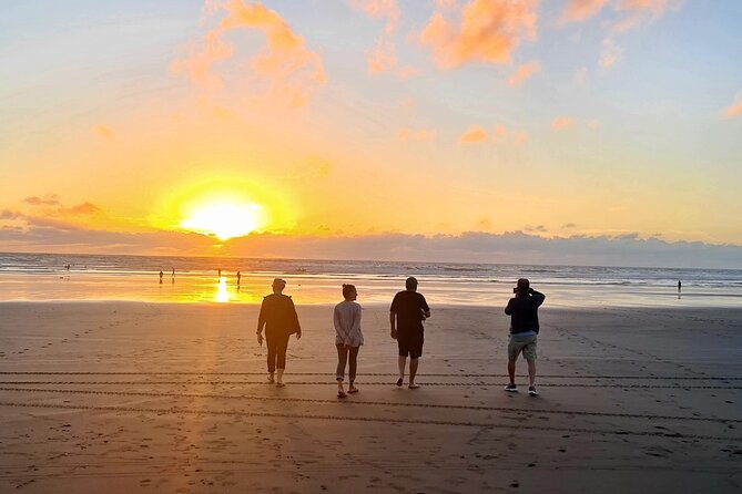 Romantic Auckland Sunset tour with Winery & Thermal pool - Should You Book This Auckland Twilight Relaxing Tour?