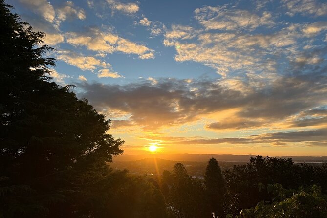 Romantic Auckland Sunset tour with Winery & Thermal pool - Palm Springs Hot Pool: The Real Relaxation Part of the Night