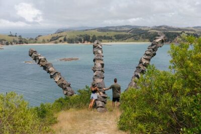 Rotoroa Island and Man O' War Vineyard Combo from Auckland - Rotoroa Island walking tracks: native bush, coastal views, and two beaches
