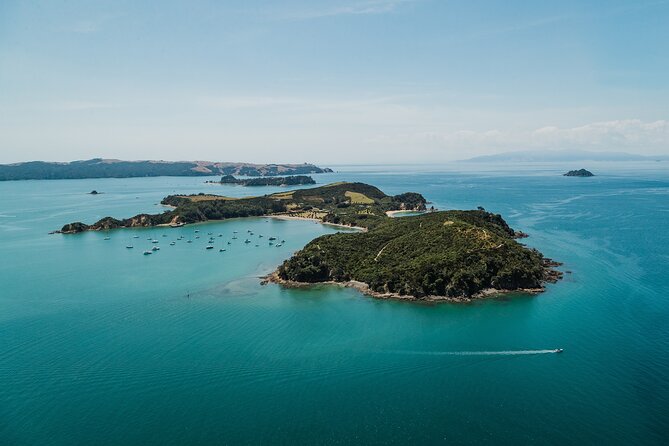 Rotoroa Island Ferry - from Auckland - The 75-minute Hauraki Gulf cruise: views, comfort, and when to brave the wind