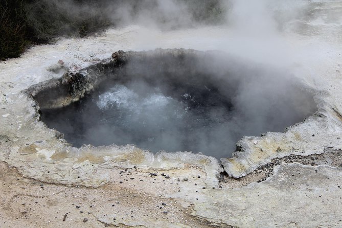 Rotorua and Waitomo Caves Day Trip from Auckland -Smaller Groups - Stop at the New Zealand Māori Arts and Crafts Institute (30 Minutes)