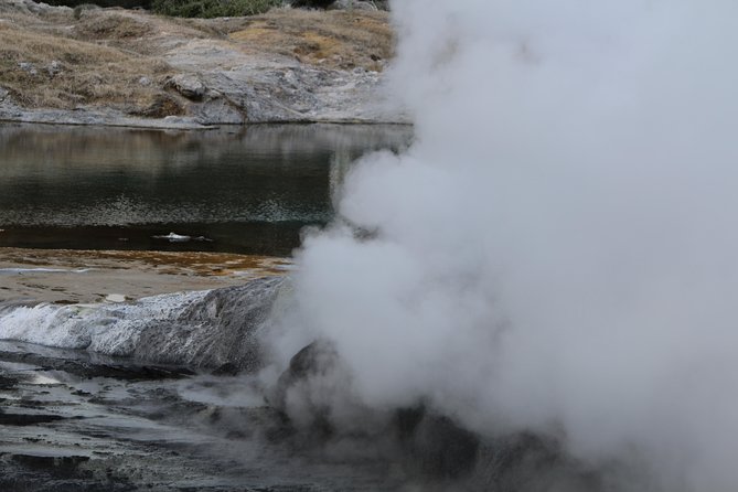 Rotorua and Waitomo Caves Day Trip from Auckland -Smaller Groups - Waitomo Glowworm Caves: The Boat Ride and Cave Etiquette