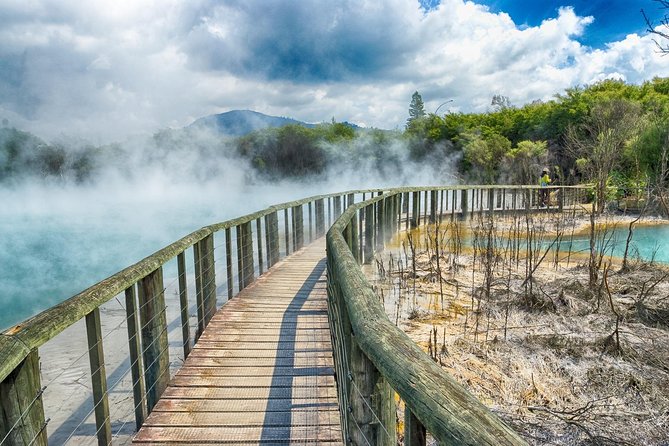 Rotorua Full Day Private Tour from Auckland - Timing and Value: What $216.58 Per Person Really Buys
