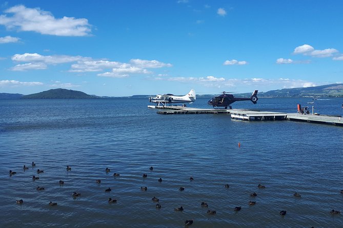 Rotorua Full Day Private Tour from Auckland - Who This Rotorua Private Tour Works Best For