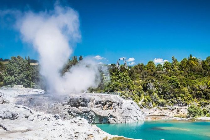 Rotorua Full Day Private Tour from Auckland - Whakarewarewa Geothermal Valley: Mud Pools, Geysers, and What to Watch For
