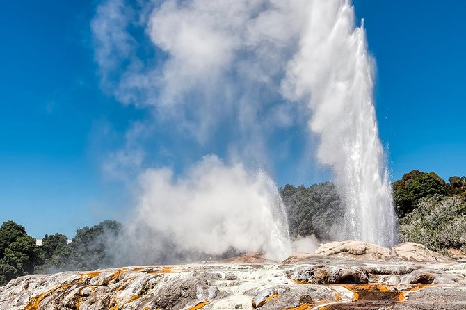 Rotorua Highlights Tour from Auckland with Optional Extras - Key highlights worth weighing