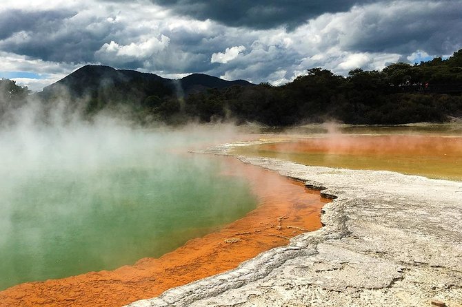Rotorua Highlights Tour from Auckland with Optional Extras - Te Puia and the Māori cultural side you don’t want to miss