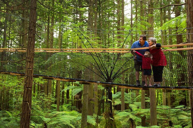 Rotorua Highlights Tour from Auckland with Optional Extras - Redwoods break: a calmer walk after the steam