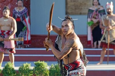 Rotorua Highlights Tour inc. Te Puia Tour, Lunch & Cultural Show - Waikato road trip: Tirau corrugated iron and quick countryside texture