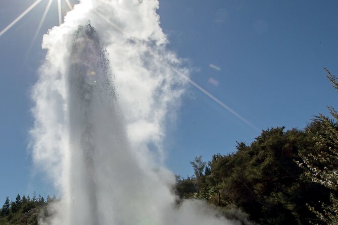 Rotorua Māori Village and Activity Combinations from Auckland - The drive to Rotorua: long, but not boring if you like stories
