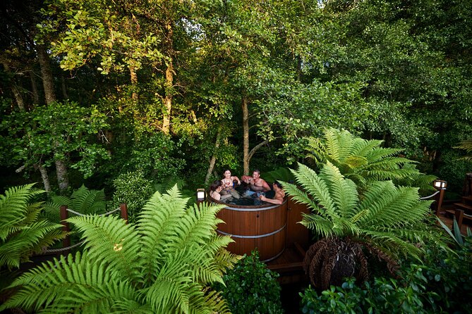 Rotorua Private tour with Hotspring - Price and Logistics: What $527.49 Really Buys