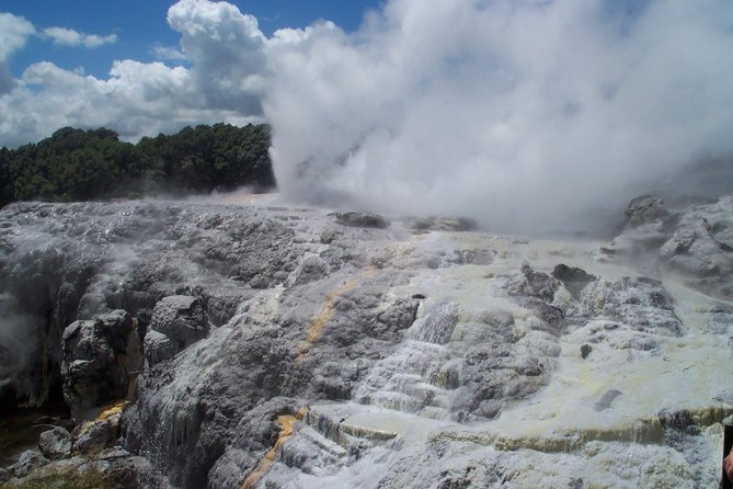 Rotorua Small-Group Day Tour from Auckland - Quick hits before you go