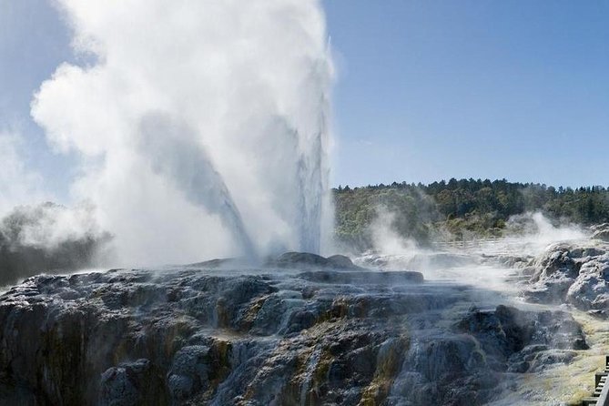 Rotorua Small-Group Day Tour from Auckland - Why this Rotorua day trip makes sense from Auckland