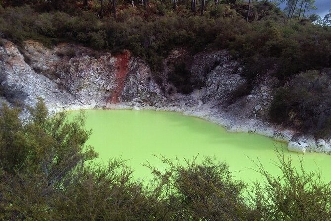 Rotorua Small-Group Day Tour from Auckland - Price and value: what you’re actually getting for $253.81