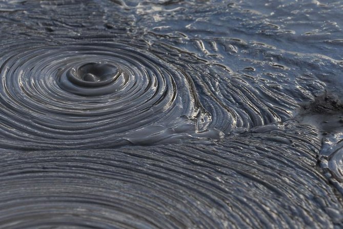 Rotorua Small-Group Day Tour from Auckland - Te Puia: Māori Arts and Crafts Institute, geysers, and the Kiwi House