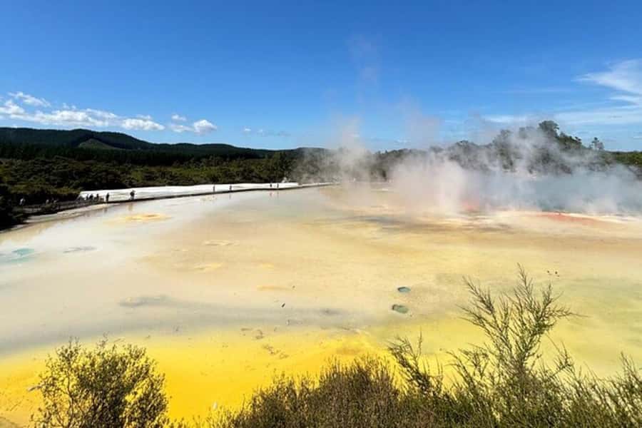 Rotorua & Taupo DayTour Waiotapu & Huka Falls from Auckland - Lady Knox Geyser visit (about 30 minutes): the short show, done right
