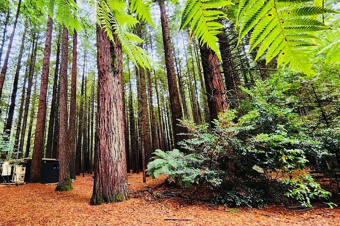 Rotorua & Taupo DayTour with Waiotapu & Huka Falls from Auckland - Waiotapu Thermal Park: where the paid ticket time actually pays off