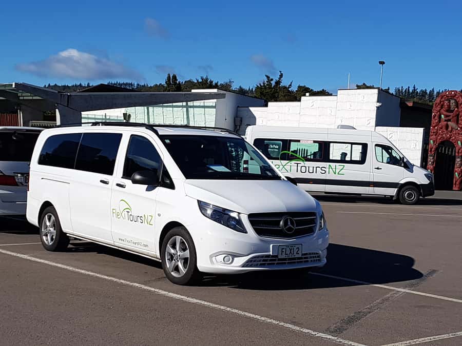 Rotorua to Auckland - Afternoon Transfer with Waitomo Caves - Key highlights worth knowing