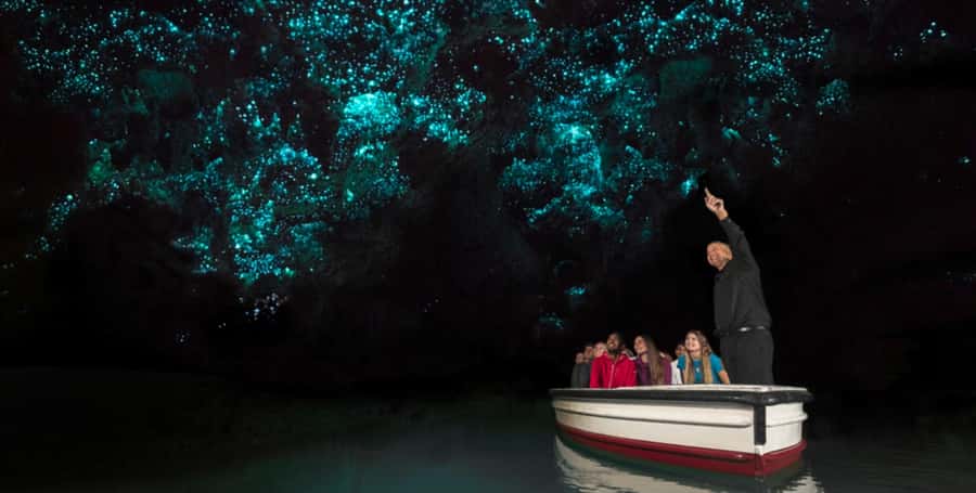Rotorua to Auckland - Afternoon Transfer with Waitomo Caves - Pickup, drop-off, and why small-group vans matter