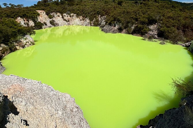 Rotorua: WaiOtapu & Redwood forest & Blues springs from Auckland - A Private Rotorua Day That Starts With Real Convenience