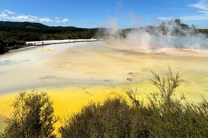Rotorua: WaiOtapu & Redwood forest & Blues springs from Auckland - Driving From Auckland: Long Day Energy, Handled