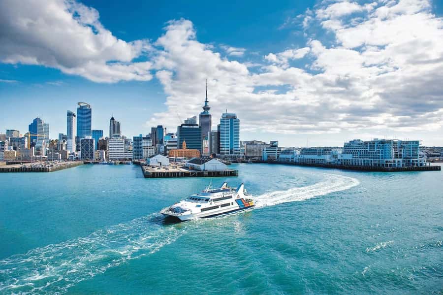 Sea, Land & Sky Premium Package - Hop-On Hop-Off Explorer Bus: Picking Your Own Waiheke Rhythm