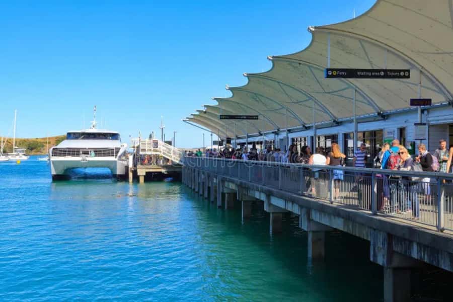 Sea, Land & Sky Premium Package - The Return Ferry: Your Slow Start Toward Waiheke