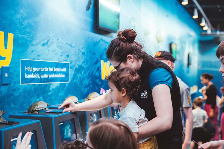Sea Life Kelly Tarlton's Aquarium General Admission - Rockpool Touch Zone and the Turtle Rehabilitation Program