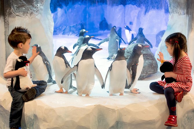 SEA LIFE Kelly Tarlton's General Admission - Key highlights at a glance