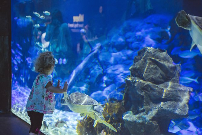 SEA LIFE Kelly Tarlton's General Admission - Entering the aquarium: 13 themed zones that keep moving