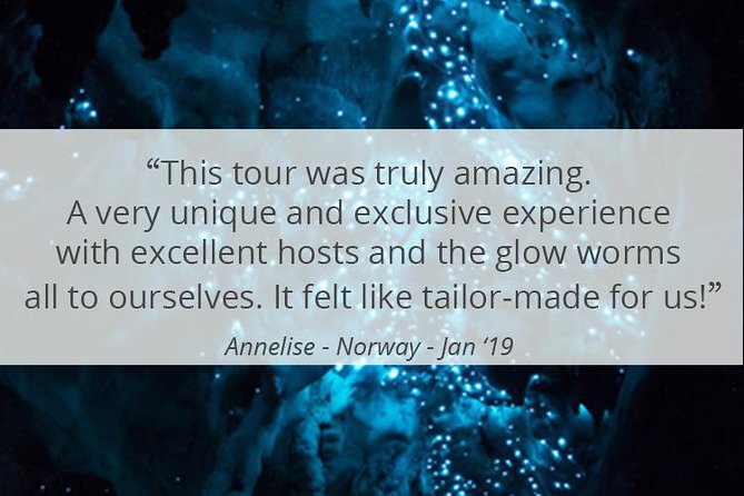 See Auckland's Secret Glow Worms - Glow worms in Auckland feel personal, not like a show