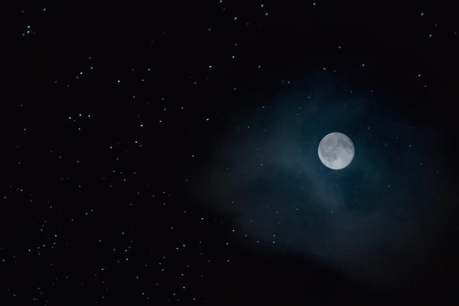 See Auckland's Secret Glow Worms - The ride out of the CBD is part of the experience