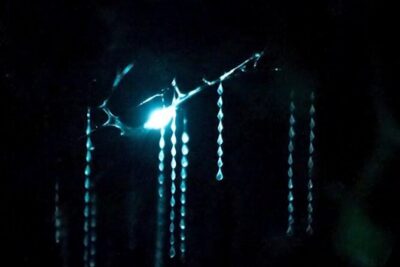 See Auckland's Secret Glow Worms - Finding the tour: 99 Quay Street, right by the Ferry Building