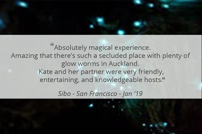 See Auckland's Secret Glow Worms - Timing, pace, and who the easy trail works for
