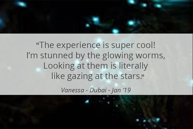 See Auckland's Secret Glow Worms - Price and Value: Is $77.57 Worth It?