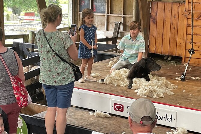 Sheep World Country Tour from Auckland - The Sheepworld mission: why this visit feels more than just cute animals