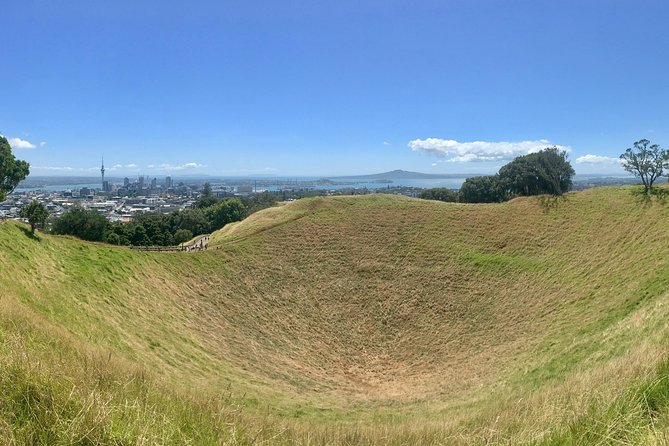 Shore Excursion: Half-Day Auckland Volcanoes Tour - Price and logistics: what you’re paying for