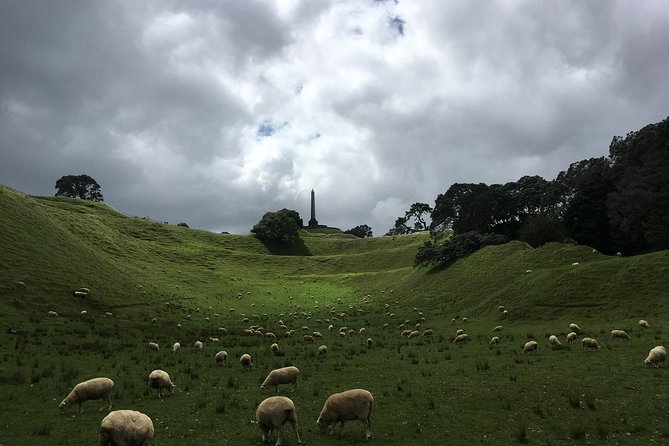 Shore Excursion: Half-Day Auckland Volcanoes Tour - Mangere Mountain: a crater circuit with Manukau Harbour views