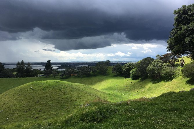 Shore Excursion: Half-Day Auckland Volcanoes Tour - Walking level and what to pack for a crater morning