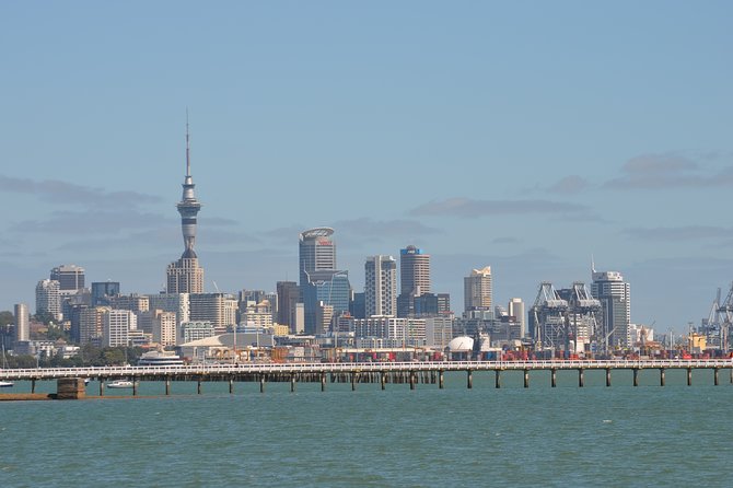 Shore Excursion: Half Day Small Group Auckland Scenic Tour - 4 HOURS - Mount Eden and the Viewpoints That Make Auckland Feel Like a Volcano City
