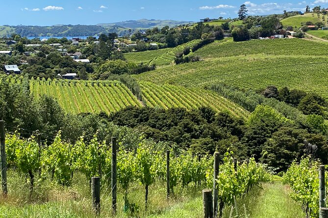 Sip & Savour through Waiheke Island (11 guests max) - The heart of the experience: three tastings with food, not just wine