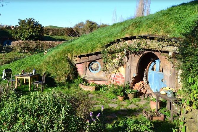 Small-Group Hobbiton and Waitomo Day Tour with Lunch from Auckland - Value check: is $316.49 worth it?