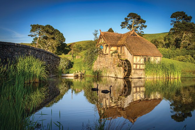 Small-Group Hobbiton Tour from Auckland with Party Marquee Lunch - Party Marquee Buffet Lunch: The Meal Most Tours Don’t Nail