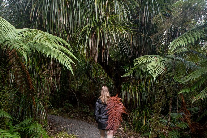 Small Group Northern Voyager 7 Days Tour - Day 3: Rotorua adrenaline day (lúge, zorbing, rafting, or culture)