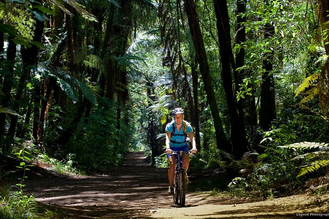 Small Group Northern Voyager 7 Days Tour - Group size and pace: how full is a “7-day adventure”?