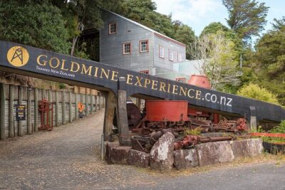 [Stevong Travel] West Coromandel Day Tour - The 7:30am start: your day’s “real” beginning