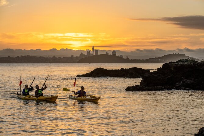 Sunset kayak tour to Rangitoto Island - Meeting in Parnell and the timing that matters